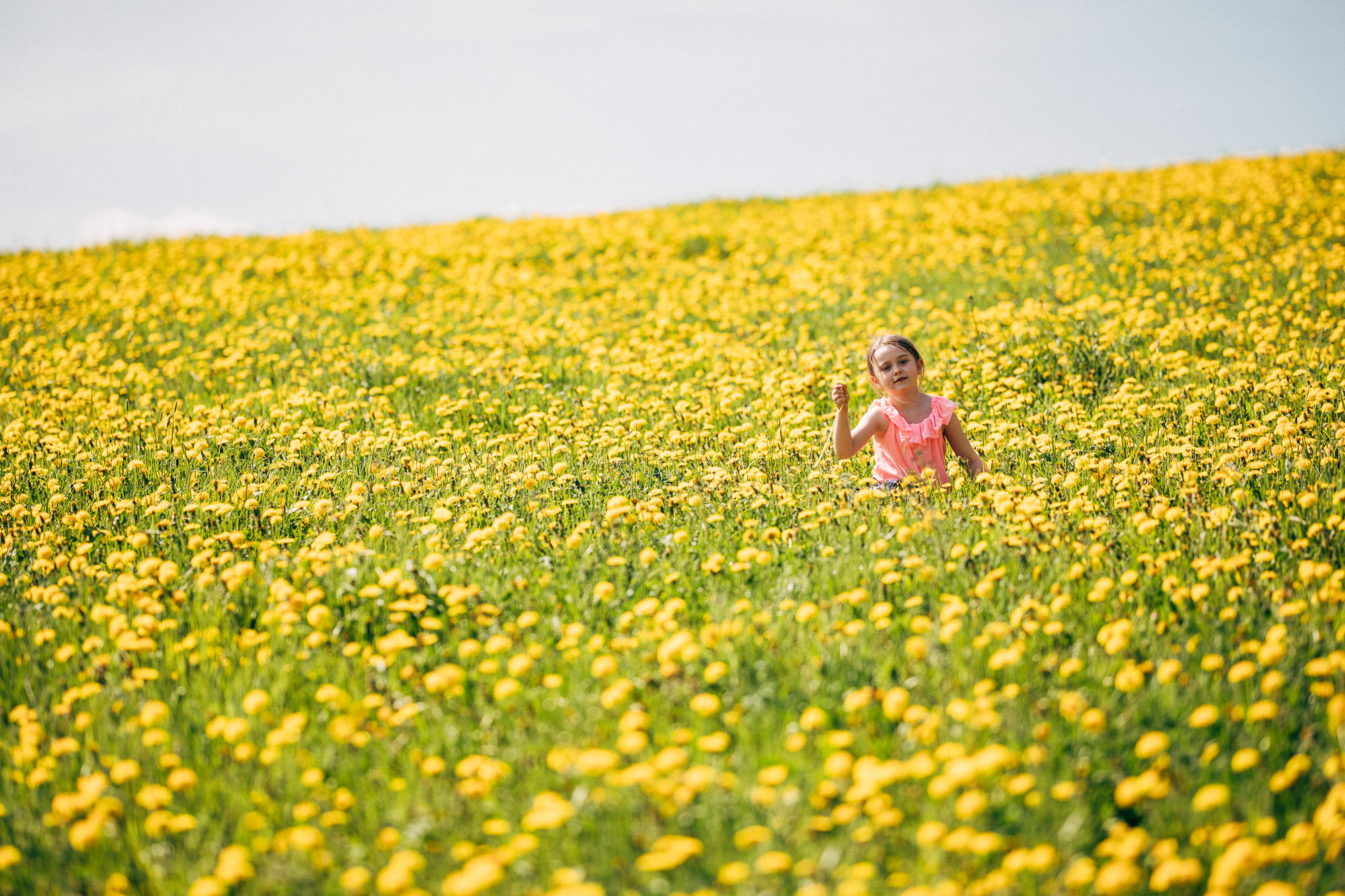 Export x3 5D4 5504 Geburtstag 75 Klara @ Golffricktal